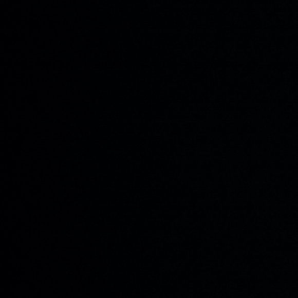 Meet your Posher, Albert - Picture 1 of 1